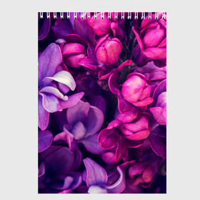 Скетчбук с принтом цветы , 100% бумага
 | 48 листов, плотность листов — 100 г/м2, плотность картонной обложки — 250 г/м2. Листы скреплены сверху удобной пружинной спиралью | Тематика изображения на принте: botany | bouquet | flowers | fuchsia | leaves | magnolia | peony | pink | vintage | ботаника | букет | винтаж | листья | магнолия | пион | розовый | фуксия | цветы