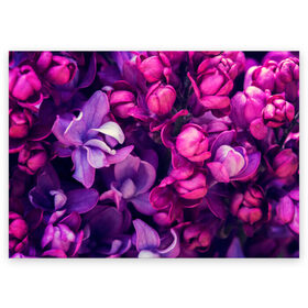 Поздравительная открытка с принтом цветы , 100% бумага | плотность бумаги 280 г/м2, матовая, на обратной стороне линовка и место для марки
 | Тематика изображения на принте: botany | bouquet | flowers | fuchsia | leaves | magnolia | peony | pink | vintage | ботаника | букет | винтаж | листья | магнолия | пион | розовый | фуксия | цветы