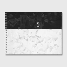 Альбом для рисования с принтом Juventus 2018 Black and White , 100% бумага
 | матовая бумага, плотность 200 мг. | Тематика изображения на принте: fc | juventus | спорт | спортивные | фк | футбол | футбольный клуб | ювентус