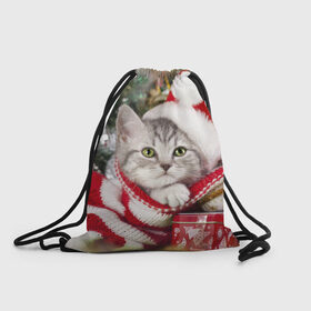 Рюкзак-мешок 3D с принтом Новогодний котик , 100% полиэстер | плотность ткани — 200 г/м2, размер — 35 х 45 см; лямки — толстые шнурки, застежка на шнуровке, без карманов и подкладки | елка | зима | кот | котейка | кошка | мороз | новый год | снег