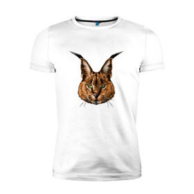Мужская футболка премиум с принтом Каракал (рысь) , 92% хлопок, 8% лайкра | приталенный силуэт, круглый вырез ворота, длина до линии бедра, короткий рукав | животные | каракал | киса | кот | котенок | котик | кошка | рысь | хищник