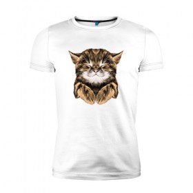 Мужская футболка премиум с принтом Котёнок , 92% хлопок, 8% лайкра | приталенный силуэт, круглый вырез ворота, длина до линии бедра, короткий рукав | cat | животные | киса | кот | котенок | котик | кошка | сон | спит