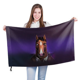Флаг 3D с принтом BoJack , 100% полиэстер | плотность ткани — 95 г/м2, размер — 67 х 109 см. Принт наносится с одной стороны | bojack horseman | конь боджек | лошадь боджек
