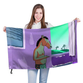 Флаг 3D с принтом BoJack , 100% полиэстер | плотность ткани — 95 г/м2, размер — 67 х 109 см. Принт наносится с одной стороны | bojack horseman | конь боджек | лошадь боджек