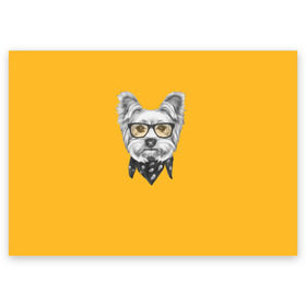 Поздравительная открытка с принтом Йоркширский терьер_в очках , 100% бумага | плотность бумаги 280 г/м2, матовая, на обратной стороне линовка и место для марки
 | домашние животные | пес | собака | терьер