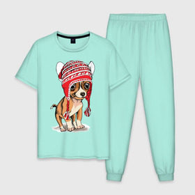 Мужская пижама хлопок с принтом Чихуахуа в шапочке , 100% хлопок | брюки и футболка прямого кроя, без карманов, на брюках мягкая резинка на поясе и по низу штанин
 | Тематика изображения на принте: домашние животные | пес | песик | собака | собачка | чихуахуа