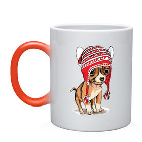 Кружка хамелеон с принтом Чихуахуа в шапочке , керамика | меняет цвет при нагревании, емкость 330 мл | домашние животные | пес | песик | собака | собачка | чихуахуа