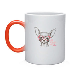 Кружка хамелеон с принтом Чихуахуа в розовых очках , керамика | меняет цвет при нагревании, емкость 330 мл | Тематика изображения на принте: домашние животные | пес | собака