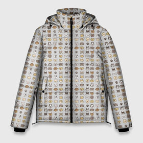 Мужская зимняя куртка 3D с принтом Веселые Чихуахуа , верх — 100% полиэстер; подкладка — 100% полиэстер; утеплитель — 100% полиэстер | длина ниже бедра, свободный силуэт Оверсайз. Есть воротник-стойка, отстегивающийся капюшон и ветрозащитная планка. 

Боковые карманы с листочкой на кнопках и внутренний карман на молнии. | Тематика изображения на принте: домашние животные | пес | собака