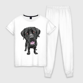 Женская пижама хлопок с принтом Черный лабрадор , 100% хлопок | брюки и футболка прямого кроя, без карманов, на брюках мягкая резинка на поясе и по низу штанин | домашние животные | лабрадоры | пес | песик | ретриверы | собака | собачка