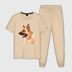 Мужская пижама хлопок с принтом Немецкая овчарка геометрия , 100% хлопок | брюки и футболка прямого кроя, без карманов, на брюках мягкая резинка на поясе и по низу штанин
 | домашние животные | овчарка | пес | полигон | собака