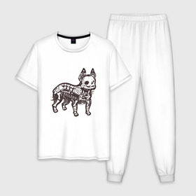 Мужская пижама хлопок с принтом Бульдог ренген , 100% хлопок | брюки и футболка прямого кроя, без карманов, на брюках мягкая резинка на поясе и по низу штанин
 | бульдог | домашние животные | пес | песик | собака | собачка | французский бульдог