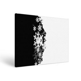 Холст прямоугольный с принтом Снежные узоры , 100% ПВХ |  | Тематика изображения на принте: black | christmas | new year | pattern | white | абстракция | зима | новый год | рождество | снег | снежинки | узор | черно белые