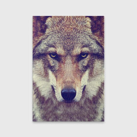 Обложка для паспорта матовая кожа с принтом Wolf , натуральная матовая кожа | размер 19,3 х 13,7 см; прозрачные пластиковые крепления | animal | волк | хищник