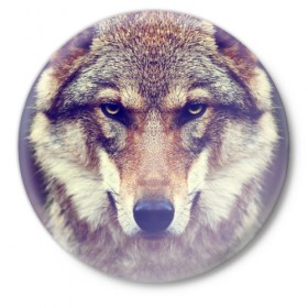 Значок с принтом Wolf ,  металл | круглая форма, металлическая застежка в виде булавки | animal | волк | хищник