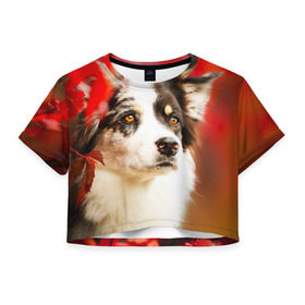 Женская футболка 3D укороченная с принтом Бордер колли в красных листьях , 100% полиэстер | круглая горловина, длина футболки до линии талии, рукава с отворотами | border collie | dog | бордер колли | красный | листья | осень | собака