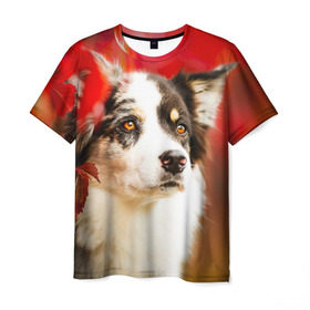 Мужская футболка 3D с принтом Бордер колли в красных листьях , 100% полиэфир | прямой крой, круглый вырез горловины, длина до линии бедер | border collie | dog | бордер колли | красный | листья | осень | собака