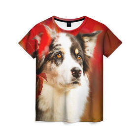 Женская футболка 3D с принтом Бордер колли в красных листьях , 100% полиэфир ( синтетическое хлопкоподобное полотно) | прямой крой, круглый вырез горловины, длина до линии бедер | border collie | dog | бордер колли | красный | листья | осень | собака