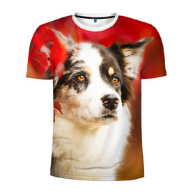 Мужская футболка 3D спортивная с принтом Бордер колли в красных листьях , 100% полиэстер с улучшенными характеристиками | приталенный силуэт, круглая горловина, широкие плечи, сужается к линии бедра | border collie | dog | бордер колли | красный | листья | осень | собака
