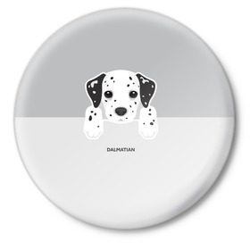 Значок с принтом Dalmatian Puppy ,  металл | круглая форма, металлическая застежка в виде булавки | далматин | далматинец | домашние животные | пес | песик | собака | собачка | терьер | шпиц