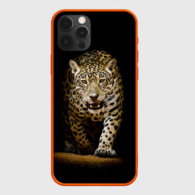 Чехол для iPhone 12 Pro с принтом Leopard , силикон | область печати: задняя сторона чехла, без боковых панелей | дикая кошка | зверь | клыки | кот | леопард | оскал | пантера | природа | хищник | ягуар