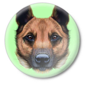 Значок с принтом Немецкая овчарка ,  металл | круглая форма, металлическая застежка в виде булавки | dog | овчарка | пес | песик | собака | собачка