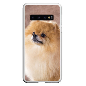 Чехол для Samsung Galaxy S10 с принтом Шпитс , Силикон | Область печати: задняя сторона чехла, без боковых панелей | Тематика изображения на принте: милый | мягкий | пушистый | собака | шерсть | щенок