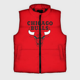 Мужской жилет утепленный 3D с принтом Chicago Bulls ,  |  | bulls | chicago | chicago bulls | nba | баскетбол | буллз | нба | чикаго буллз