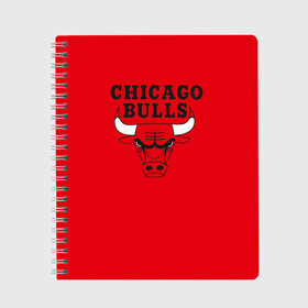 Тетрадь с принтом Chicago Bulls , 100% бумага | 48 листов, плотность листов — 60 г/м2, плотность картонной обложки — 250 г/м2. Листы скреплены сбоку удобной пружинной спиралью. Уголки страниц и обложки скругленные. Цвет линий — светло-серый
 | bulls | chicago | chicago bulls | nba | баскетбол | буллз | нба | чикаго буллз