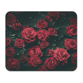 Коврик прямоугольный с принтом Цветы Розы , натуральный каучук | размер 230 х 185 мм; запечатка лицевой стороны | 8 | день | женский | женский день | красная | любовь | марта | роза | розы | цветы