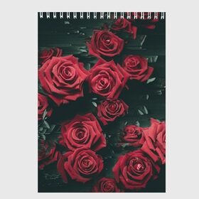 Скетчбук с принтом Цветы Розы , 100% бумага
 | 48 листов, плотность листов — 100 г/м2, плотность картонной обложки — 250 г/м2. Листы скреплены сверху удобной пружинной спиралью | 8 | день | женский | женский день | красная | любовь | марта | роза | розы | цветы