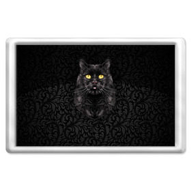 Магнит 45*70 с принтом Чёрный котик , Пластик | Размер: 78*52 мм; Размер печати: 70*45 | Тематика изображения на принте: кошка | чёрная