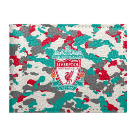 Обложка для студенческого билета с принтом FC Liverpool , натуральная кожа | Размер: 11*8 см; Печать на всей внешней стороне | england | football | liverpool fc | logo | sport | англия | арт | камуфляж | ливерпуль | лига | лого | милитари | спорт | текстура | фк | футбол | футбольный клуб | эмблема