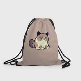 Рюкзак-мешок 3D с принтом Недовольный кот , 100% полиэстер | плотность ткани — 200 г/м2, размер — 35 х 45 см; лямки — толстые шнурки, застежка на шнуровке, без карманов и подкладки | Тематика изображения на принте: cat | кот | кошка