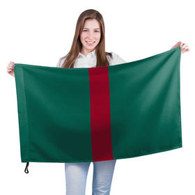 Флаг 3D с принтом Зеленый/бордовый , 100% полиэстер | плотность ткани — 95 г/м2, размер — 67 х 109 см. Принт наносится с одной стороны | gucci | гучи | гуччи | полосы