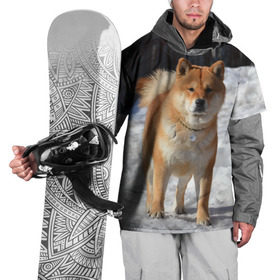 Накидка на куртку 3D с принтом Акита-ину , 100% полиэстер |  | акита | животное | животные | ину | овчарка | пес | песик | псы | сиба | собака | собаки | шиба