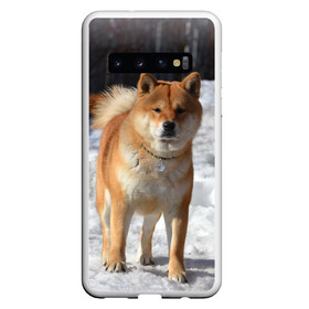 Чехол для Samsung Galaxy S10 с принтом Акита-ину , Силикон | Область печати: задняя сторона чехла, без боковых панелей | Тематика изображения на принте: акита | животное | животные | ину | овчарка | пес | песик | псы | сиба | собака | собаки | шиба