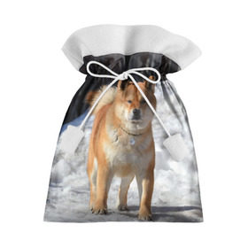 Подарочный 3D мешок с принтом Акита-ину , 100% полиэстер | Размер: 29*39 см | акита | животное | животные | ину | овчарка | пес | песик | псы | сиба | собака | собаки | шиба