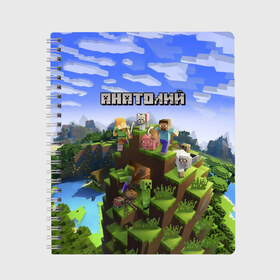 Тетрадь с принтом Анатолий - Minecraft , 100% бумага | 48 листов, плотность листов — 60 г/м2, плотность картонной обложки — 250 г/м2. Листы скреплены сбоку удобной пружинной спиралью. Уголки страниц и обложки скругленные. Цвет линий — светло-серый
 | minecraft | анатолий | добывать | игра | игрушка | имя | компьютерная | кубики | майкрафт | майн крафт | майнкрафт | пиксели | пиксель | ремесло | с именем | толик | толя | толян | шахта