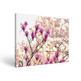 Холст прямоугольный с принтом Сакура , 100% ПВХ |  | Тематика изображения на принте: деревья | красота | небо | природа | сакура | цветение | цветы | япония