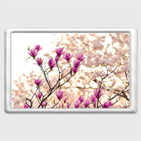 Магнит 45*70 с принтом Сакура , Пластик | Размер: 78*52 мм; Размер печати: 70*45 | деревья | красота | небо | природа | сакура | цветение | цветы | япония