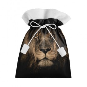 Подарочный 3D мешок с принтом Лев , 100% полиэстер | Размер: 29*39 см | животные | кошка | лев | мордочка | природа | тигр | хищник