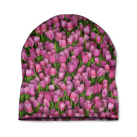 Шапка 3D с принтом Розовые тюльпаны , 100% полиэстер | универсальный размер, печать по всей поверхности изделия | 