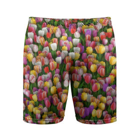 Мужские шорты 3D спортивные с принтом Разноцветные тюльпаны ,  |  | 8 марта | tulip | белый | букет | желтый | зеленый | красный | паттерн | розовый | тюльпан | тюльпанчики | цветок | цветочки | цветы