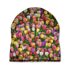 Шапка 3D с принтом Разноцветные тюльпаны , 100% полиэстер | универсальный размер, печать по всей поверхности изделия | Тематика изображения на принте: 8 марта | tulip | белый | букет | желтый | зеленый | красный | паттерн | розовый | тюльпан | тюльпанчики | цветок | цветочки | цветы