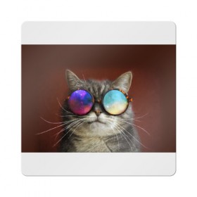 Магнит виниловый Квадрат с принтом котейки , полимерный материал с магнитным слоем | размер 9*9 см, закругленные углы | cat | взгляд | космос | кот | котик | очки
