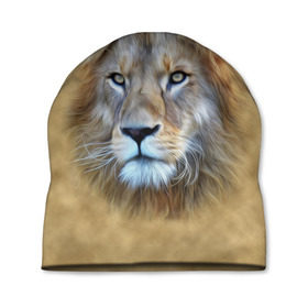 Шапка 3D с принтом Лев , 100% полиэстер | универсальный размер, печать по всей поверхности изделия | голова | животные | кошка | лев | львица | природа | хищник