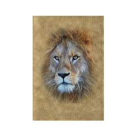 Обложка для паспорта матовая кожа с принтом Лев , натуральная матовая кожа | размер 19,3 х 13,7 см; прозрачные пластиковые крепления | Тематика изображения на принте: голова | животные | кошка | лев | львица | природа | хищник