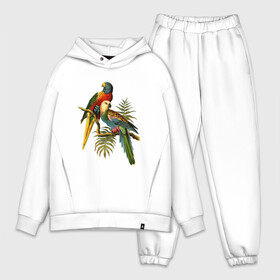 Мужской костюм хлопок OVERSIZE с принтом Попугаи ,  |  | ветки | винтаж | листья | пальмы | перья | попугаи | птицы