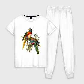 Женская пижама хлопок с принтом Попугаи , 100% хлопок | брюки и футболка прямого кроя, без карманов, на брюках мягкая резинка на поясе и по низу штанин | Тематика изображения на принте: ветки | винтаж | листья | пальмы | перья | попугаи | птицы